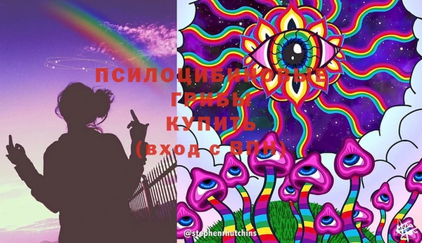 прущие крисы Бронницы